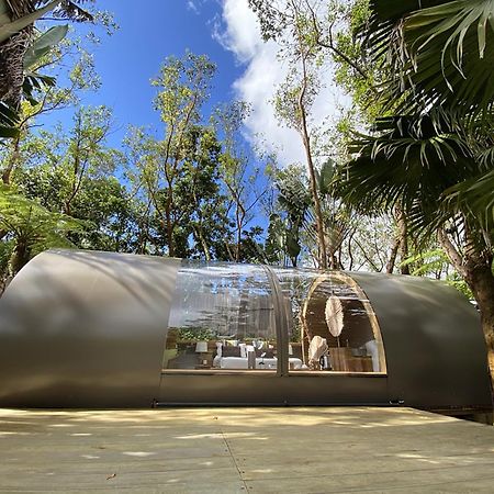 Bubble Lodge Bois Cheri Plantation Kültér fotó