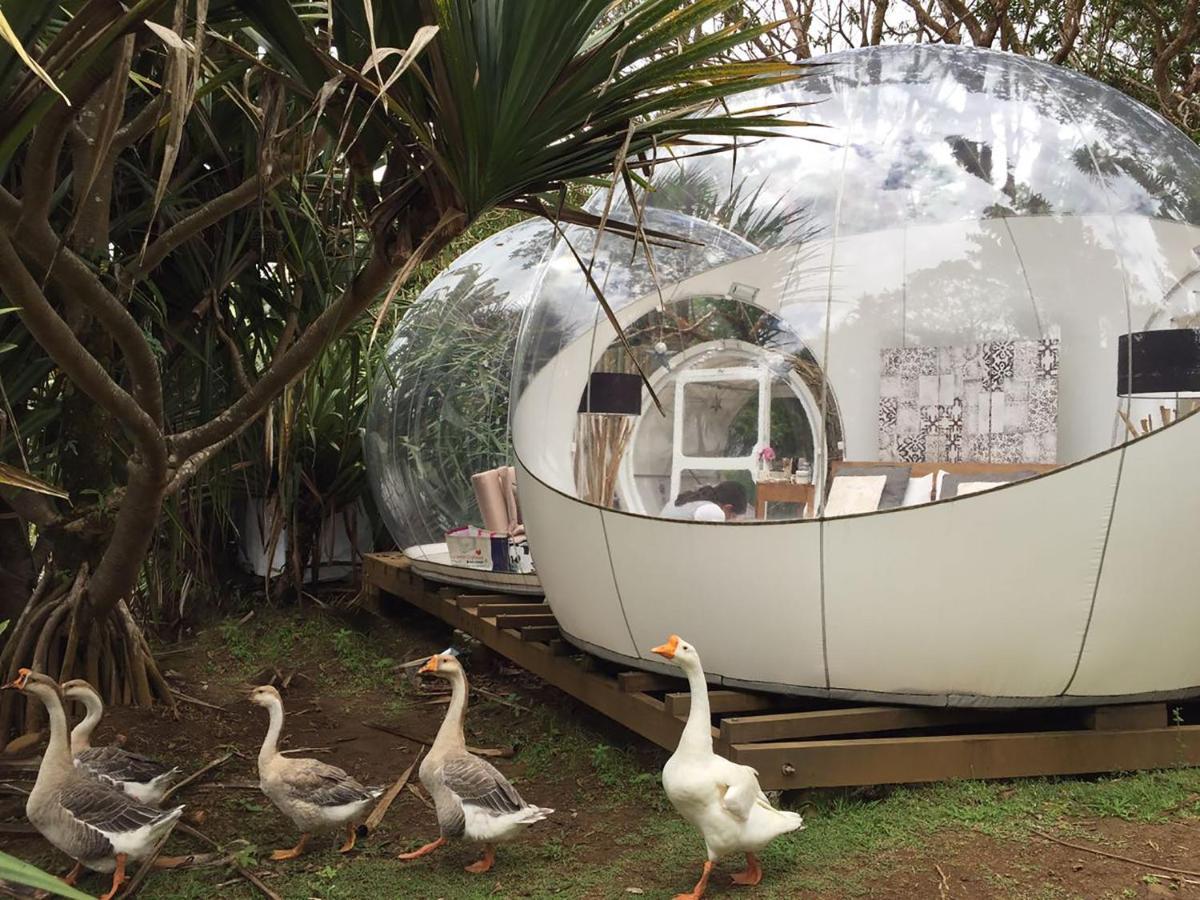 Bubble Lodge Bois Cheri Plantation Kültér fotó
