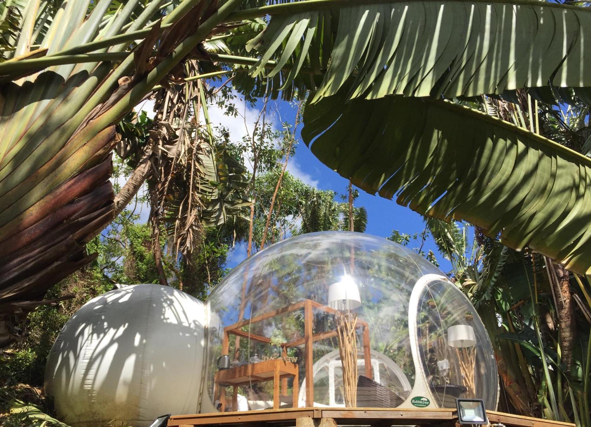 Bubble Lodge Bois Cheri Plantation Kültér fotó