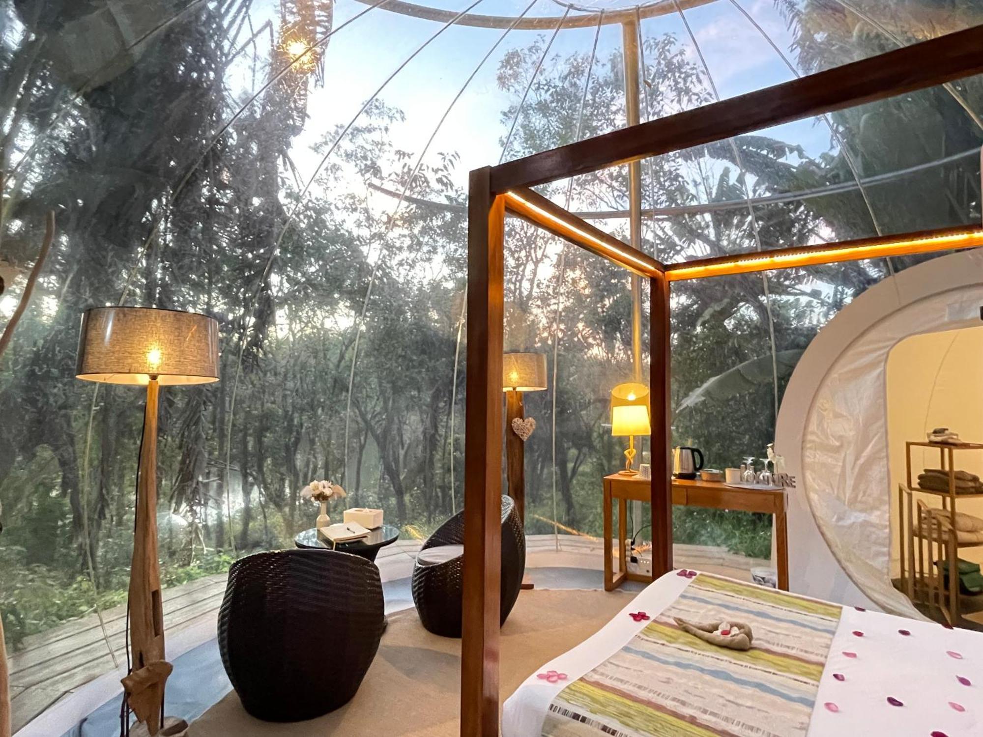 Bubble Lodge Bois Cheri Plantation Kültér fotó