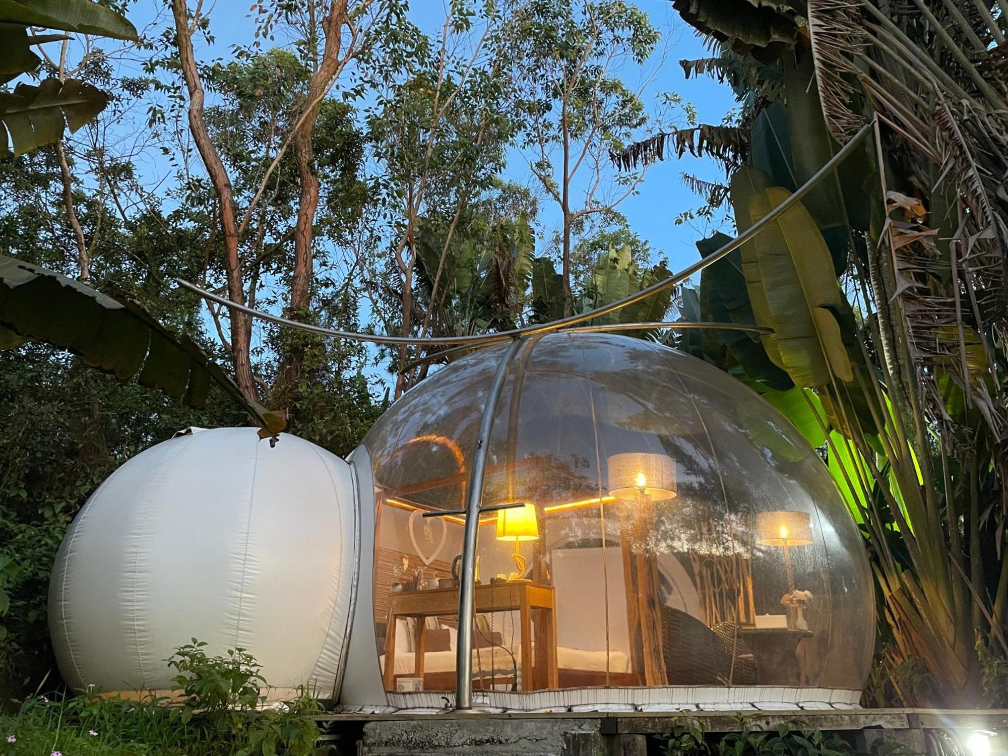 Bubble Lodge Bois Cheri Plantation Kültér fotó