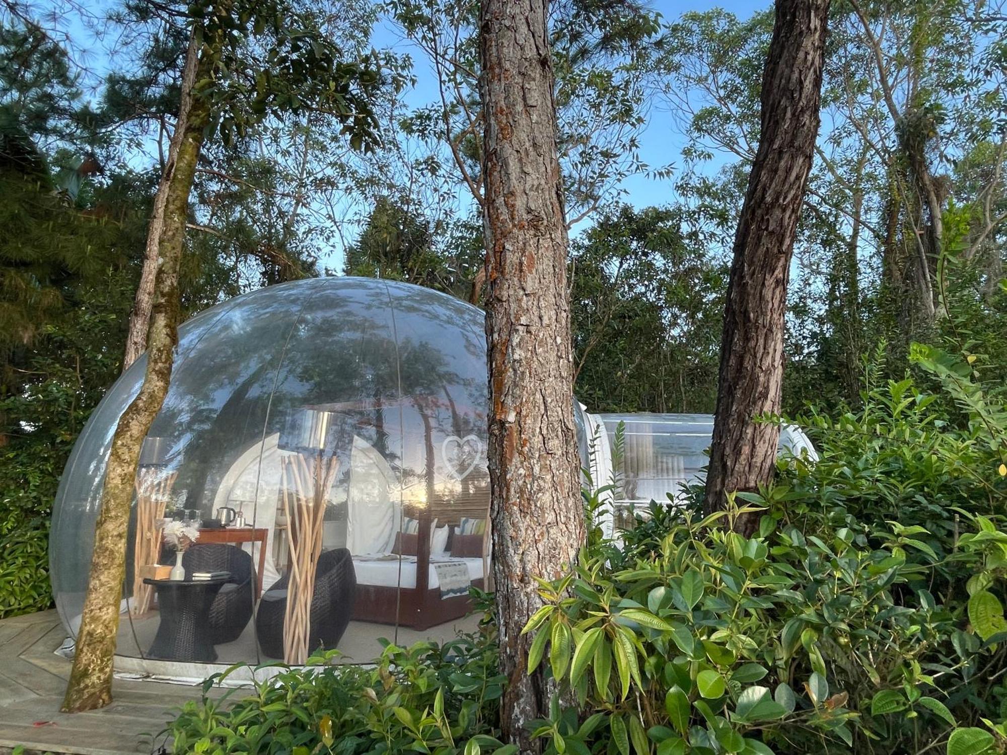 Bubble Lodge Bois Cheri Plantation Kültér fotó