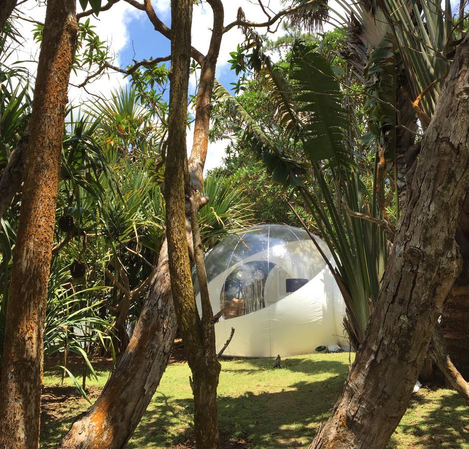 Bubble Lodge Bois Cheri Plantation Kültér fotó