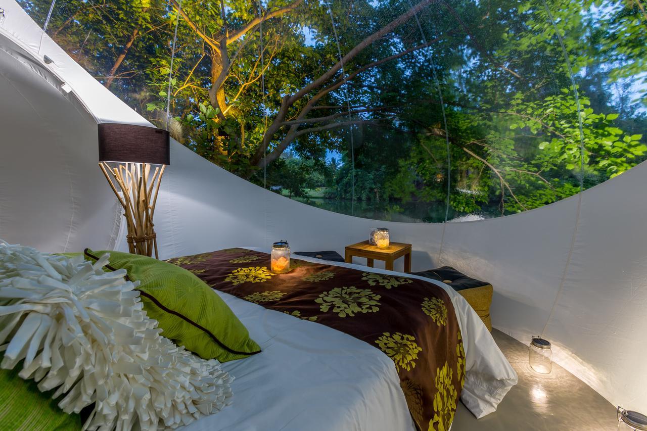 Bubble Lodge Bois Cheri Plantation Kültér fotó